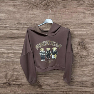 Sweat capuche nounours choco