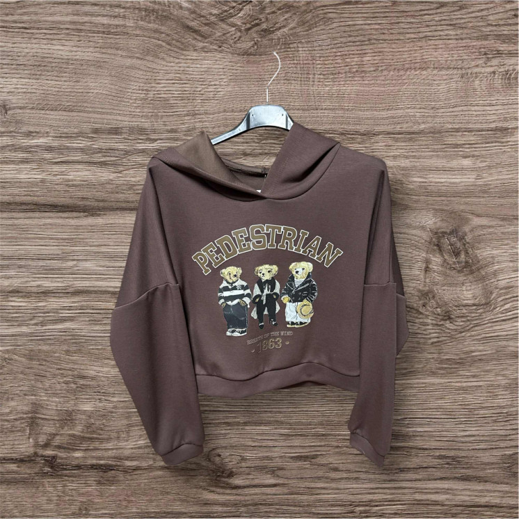 Sweat capuche nounours choco